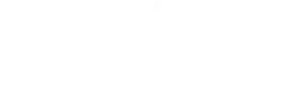 Wise Group